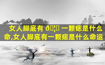 女人脚底有 🦈 一颗痣是什么命,女人脚底有一颗痣是什么命运